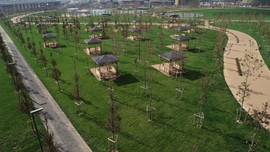 7 millet bahçesinin ihalesi yapılacak