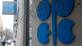 OPEC'in üretimi şubatta azaldı