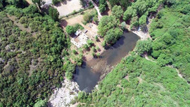 Kuzey Marmara Otoyolu için ağaç katliamı iddiası