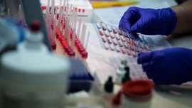 Yerli firmalar piyasaya girdi, yabancı fiyat kırdı