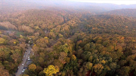 Ormanlarındaki kaçak yapılar yıkılacak!