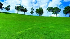 Hedef;Kişi başına 18 metrekare yeşil alan!