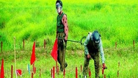 Mayınlı tarlaların değeri 2 milyar lira