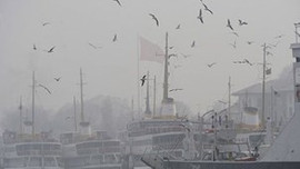 Şehir Hatları Seferleri iptal edildi!