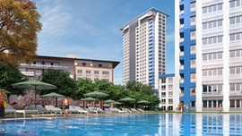 Tema İstanbul Cannes'te görücüye çıktı, yoğun ilgi gördü!