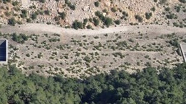 Bu köprü sadece hayvanlar için!