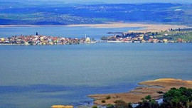 Bursa'da satılık ada!