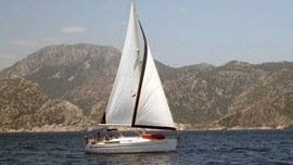 İş dünyasının yeni gözdesi