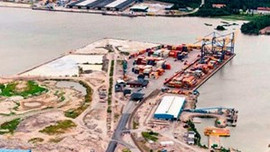 Viking limanlarını Türkler işletecek