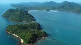 Bu adalar bir servet!