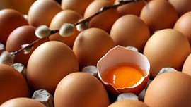 Yumurta fiyatlarında düşüş gözlendi