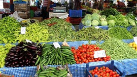 İstanbul pazarında Eylül ayının kralı patlıcan oldu!