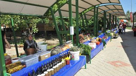 İzmir'e organik pazar geliyor!