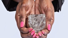 Dünyanın en değerli elması bulundu