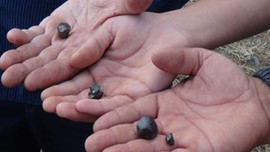 Sığınmacılar da gök taşından medet umdu