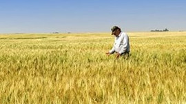 TZOB Başkanı çifçileri uyardı!