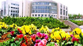 Dünya'nın ilk 100'nde 3 Türk okulu!