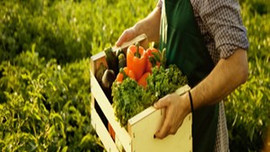 VakıfBank'tan 'organik kredi' kolaylığı!