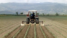 Kırsal bölgelerdeki işletmelerde 45 Bin kişiye iş imkanı!