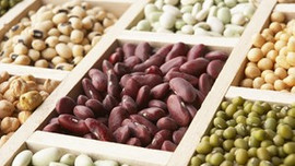 '2016 Uluslararası Bakliyat Yılı' tanıtımı Roma'da!