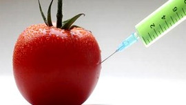 GDO'lu gıdaları tüketmeyin