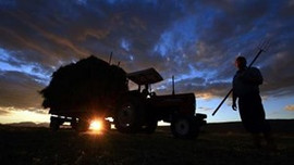 Uşak'ta sahte tarım destek davası