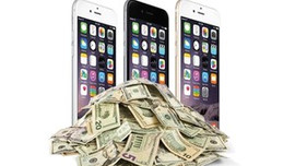 Türkiye büyüklüğünde Elma!