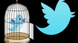 Mavi Kuş'a elektronik kafes