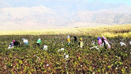 Diplomalı işçiler!