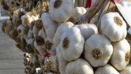 Rekor kuru sarımsak ve salatalıkta!