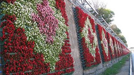 İstanbul 32 milyon TL ile çiçek açtı!