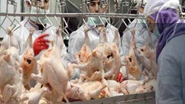 Bugünden itibaren yasak