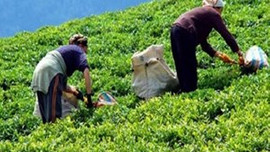 İşe alımlar başlıyor!