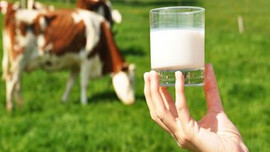 Süte ruble darbesi!