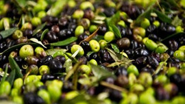 Denemeler başladı! Dünyada bir ilk olacak