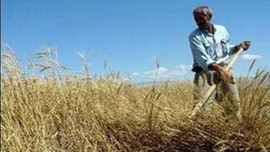 Çiftçilere hibe desteği