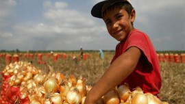 Dolar da engelleyemedi! Patladı...