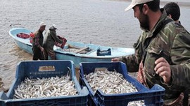 Yozgat'tan Avrupa'ya ihracat ediliyor