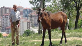 O çoban 5 bin lirayı feda etti