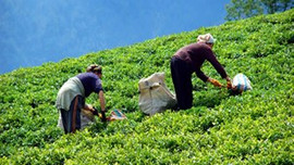 40 bin kişiye iş imkanı!