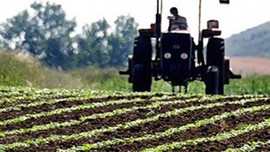 Çiftçiye kötü haber!