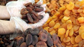 Kayısıda şok zarar!