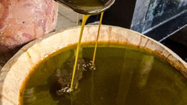 Zeytinde fiyatlar uçtu ihracat çakıldı