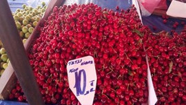 Kiraz fiyatları cep yakıyor...
