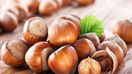 Fındık üreticisine kalkınma önerisi!