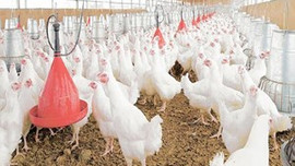 Türkiye'ye ilk sınırlama geldi