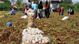 En çok parayı onlar kazandı