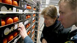 23 ton domatesimiz geri gönderildi