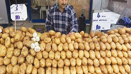 Patateste fikir ayrılığı