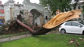 Marmara'da kıyamet koptu